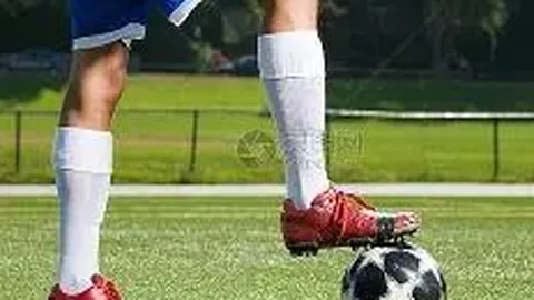 津门豪强挥金1亿引援，力邀强力外援前锋及多员内线强将，蓄势补强战力短板！